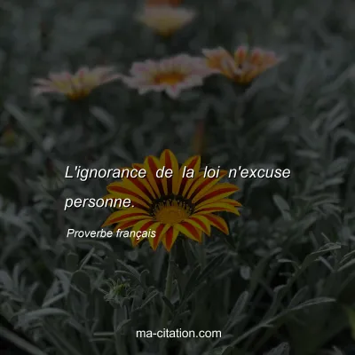 Proverbe franÃ§ais : L'ignorance de la loi n'excuse personne.