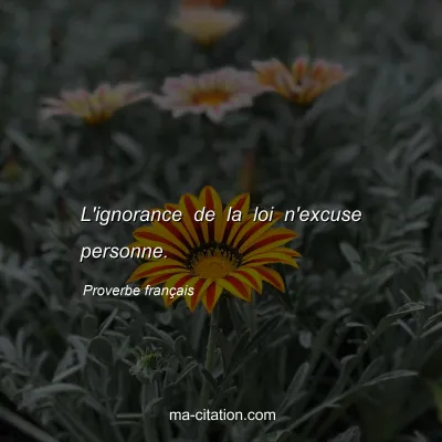 Proverbe français : L'ignorance de la loi n'excuse personne.