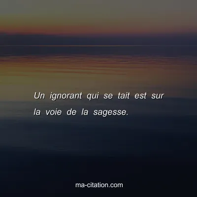 Un ignorant qui se tait est sur la voie de la sagesse.