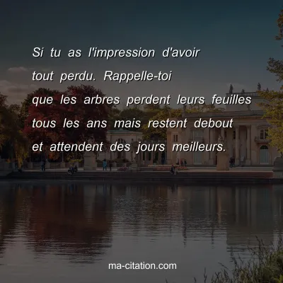 Si tu as l'impression d'avoir tout perdu. Rappelle-toi que les arbres perdent leurs feuilles tous les ans mais restent debout et attendent des jours meilleurs.