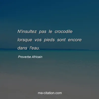 Proverbe Africain : N'insultez pas le crocodile lorsque vos pieds sont encore dans l'eau.