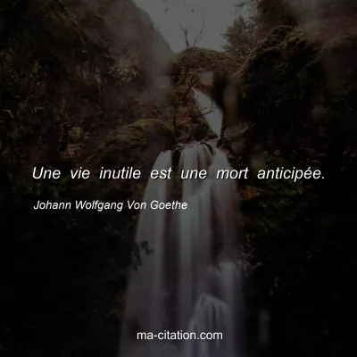 Johann Wolfgang Von Goethe : Une vie inutile est une mort anticipée.