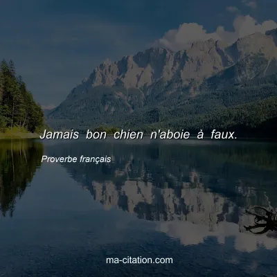 Proverbe franÃ§ais : Jamais bon chien n'aboie Ã  faux.