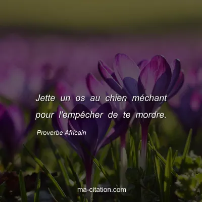 Proverbe Africain : Jette un os au chien mÃ©chant pour l'empÃªcher de te mordre.