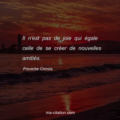 Proverbe Chinois : Il n'est pas de joie qui Ã©gale celle de se crÃ©er de nouvelles amitiÃ©s.