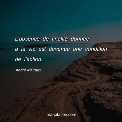 AndrÃ© Malraux : Lâ€™absence de finalitÃ© donnÃ©e Ã  la vie est devenue une condition de lâ€™action.