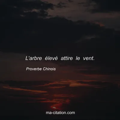 Proverbe Chinois : Lâ€™arbre Ã©levÃ© attire le vent.