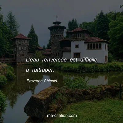 Proverbe Chinois : Lâ€™eau renversÃ©e est difficile Ã  rattraper.