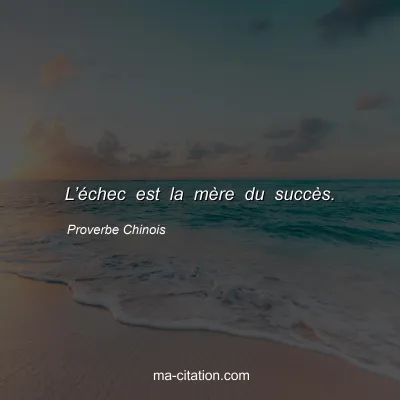 Proverbe Chinois : Lâ€™Ã©chec est la mÃ¨re du succÃ¨s.