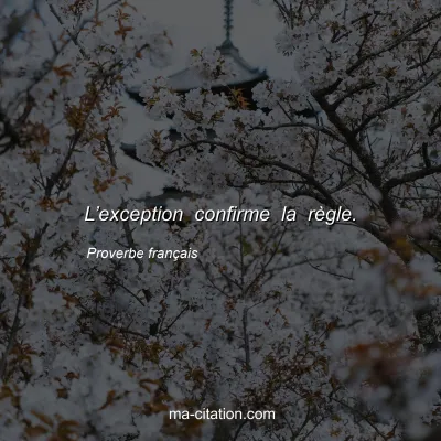 Proverbe franÃ§ais : Lâ€™exception confirme la rÃ¨gle.