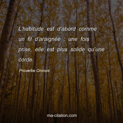 Proverbe Chinois : Lâ€™habitude est dâ€™abord comme un fil dâ€™araignÃ©e : une fois prise, elle est plus solide quâ€™une corde.