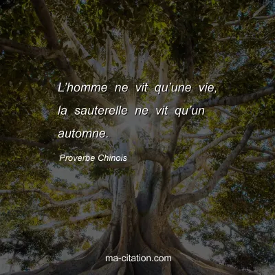 Proverbe Chinois : Lâ€™homme ne vit quâ€™une vie, la sauterelle ne vit quâ€™un automne.