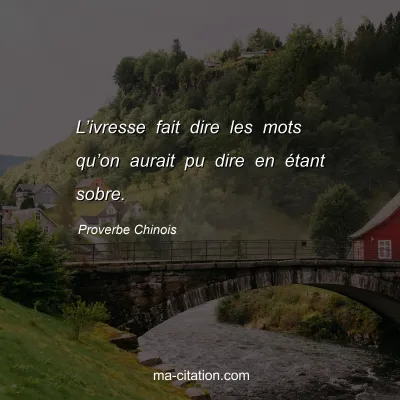 Proverbe Chinois : Lâ€™ivresse fait dire les mots quâ€™on aurait pu dire en Ã©tant sobre.
