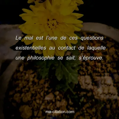 Le mal est lâ€™une de ces questions existentielles au contact de laquelle une philosophie se sait, sâ€™Ã©prouve.