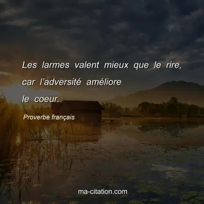 Proverbe franÃ§ais : Les larmes valent mieux que le rire, car lâ€™adversitÃ© amÃ©liore le coeur.
