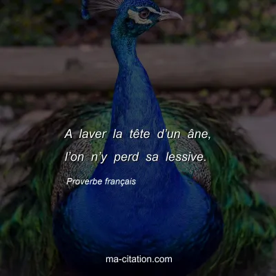 Proverbe franÃ§ais : A laver la tÃªte dâ€™un Ã¢ne, lâ€™on nâ€™y perd sa lessive.