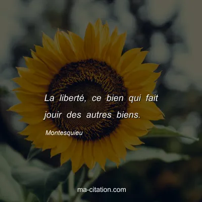 Montesquieu : La liberté, ce bien qui fait jouir des autres biens.