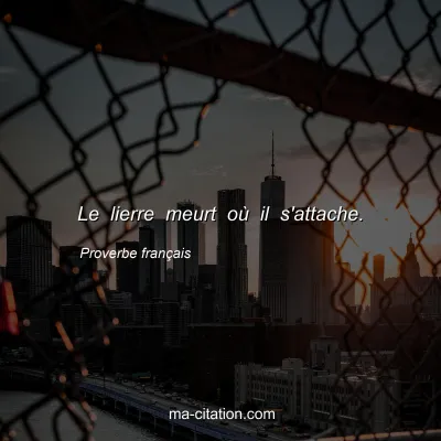 Proverbe franÃ§ais : Le lierre meurt oÃ¹ il s'attache.