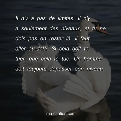 Il n'y a pas de limites. Il n'y a seulement des niveaux, et tu ne dois pas en rester lÃ , il faut aller au-delÃ . Si cela doit te tuer, que cela te tue. Un homme doit toujours dÃ©passer son niveau.