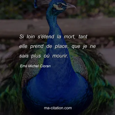 Emil Michel Cioran : Si loin s'Ã©tend la mort, tant elle prend de place, que je ne sais plus oÃ¹ mourir.