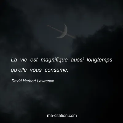 David Herbert Lawrence : La vie est magnifique aussi longtemps qu’elle vous consume.