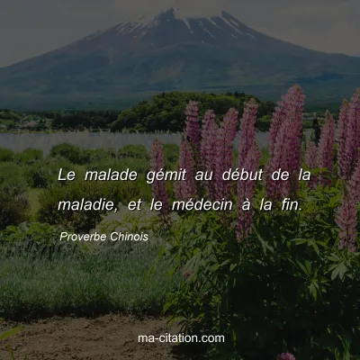 Proverbe Chinois : Le malade gÃ©mit au dÃ©but de la maladie, et le mÃ©decin Ã  la fin.