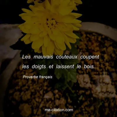 Proverbe franÃ§ais : Les mauvais couteaux coupent les doigts et laissent le bois.