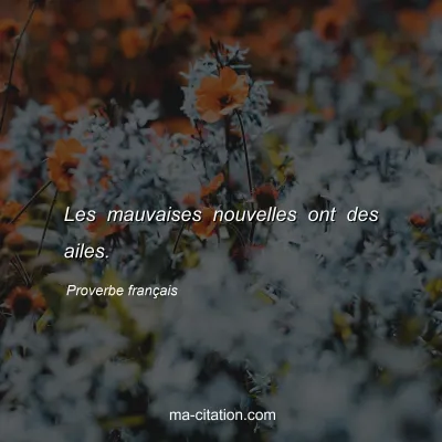 Proverbe franÃ§ais : Les mauvaises nouvelles ont des ailes.