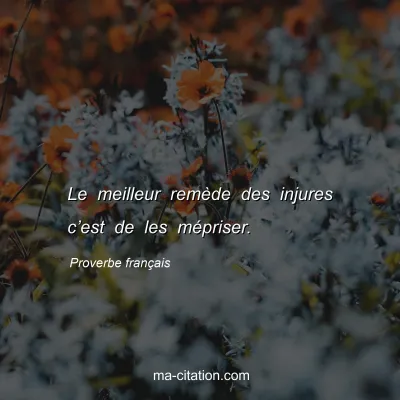 Proverbe franÃ§ais : Le meilleur remÃ¨de des injures câ€™est de les mÃ©priser.