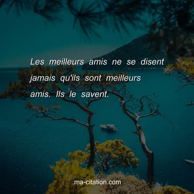 Les meilleurs amis ne se disent jamais qu'ils sont meilleurs amis. Ils le savent.