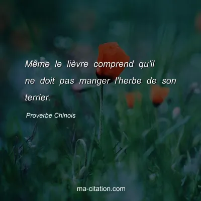 Proverbe Chinois : MÃªme le liÃ¨vre comprend qu'il ne doit pas manger l'herbe de son terrier.