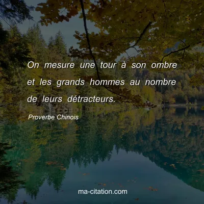Proverbe Chinois : On mesure une tour Ã  son ombre et les grands hommes au nombre de leurs dÃ©tracteurs.