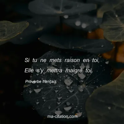 Proverbe franÃ§ais : Si tu ne mets raison en toi, Elle s'y mettra malgrÃ© toi.