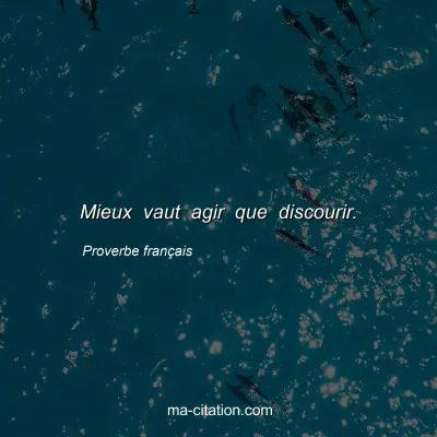Proverbe franÃ§ais : Mieux vaut agir que discourir.