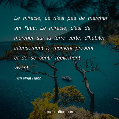 Tich Nhat Hanh : Le miracle, ce n'est pas de marcher sur l'eau. Le miracle, c'est de marcher sur la terre verte, d'habiter intensément le moment présent et de se sentir réellement vivant.