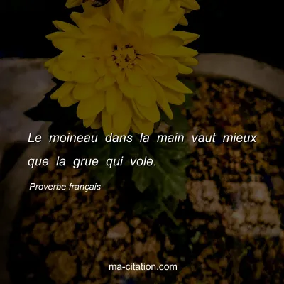 Proverbe franÃ§ais : Le moineau dans la main vaut mieux que la grue qui vole.