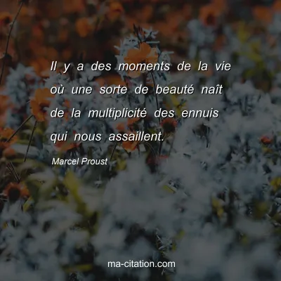 Marcel Proust : Il y a des moments de la vie où une sorte de beauté naît de la multiplicité des ennuis qui nous assaillent.