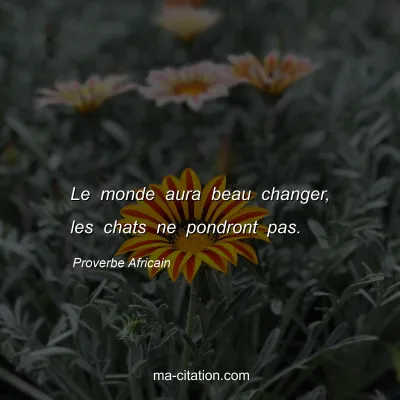 Proverbe Africain : Le monde aura beau changer, les chats ne pondront pas.