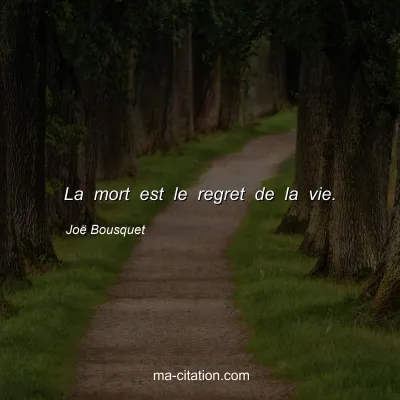 Joë Bousquet : La mort est le regret de la vie.