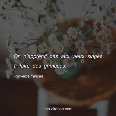 Proverbe franÃ§ais : On nâ€™apprend pas aux vieux singes Ã  faire des grimaces.