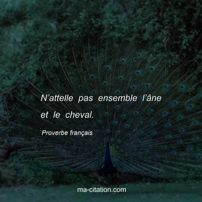 Proverbe franÃ§ais : Nâ€™attelle pas ensemble lâ€™Ã¢ne et le cheval.