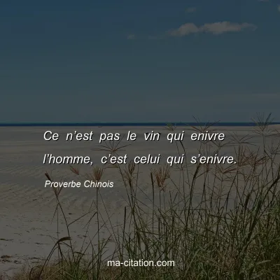 Proverbe Chinois : Ce nâ€™est pas le vin qui enivre lâ€™homme, câ€™est celui qui sâ€™enivre.