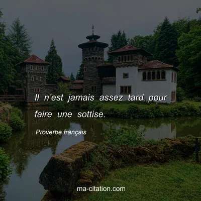 Proverbe franÃ§ais : Il nâ€™est jamais assez tard pour faire une sottise.