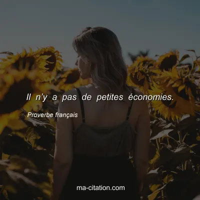 Proverbe français : Il n’y a pas de petites économies.
