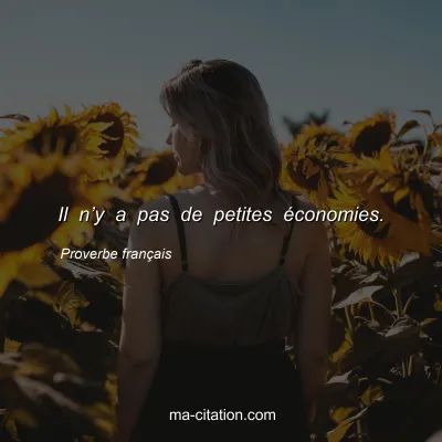 Proverbe franÃ§ais : Il nâ€™y a pas de petites Ã©conomies.