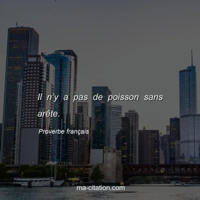 Proverbe franÃ§ais : Il nâ€™y a pas de poisson sans arÃªte.