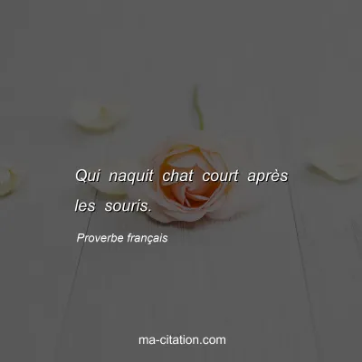Proverbe franÃ§ais : Qui naquit chat court aprÃ¨s les souris.