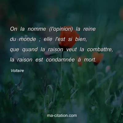 Voltaire : On la nomme (l'opinion) la reine du monde ; elle l'est si bien, que quand la raison veut la combattre, la raison est condamnée à mort.