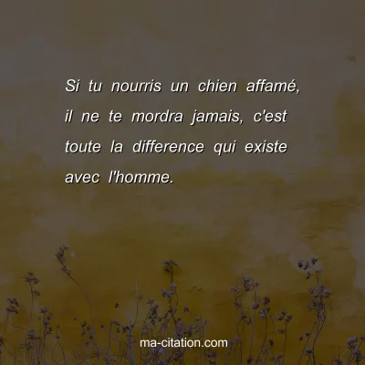 Si tu nourris un chien affamÃ©, il ne te mordra jamais, c'est toute la difference qui existe avec l'homme.