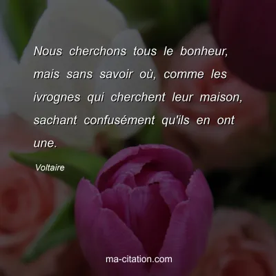 Voltaire : Nous cherchons tous le bonheur, mais sans savoir où, comme les ivrognes qui cherchent leur maison, sachant confusément qu'ils en ont une.